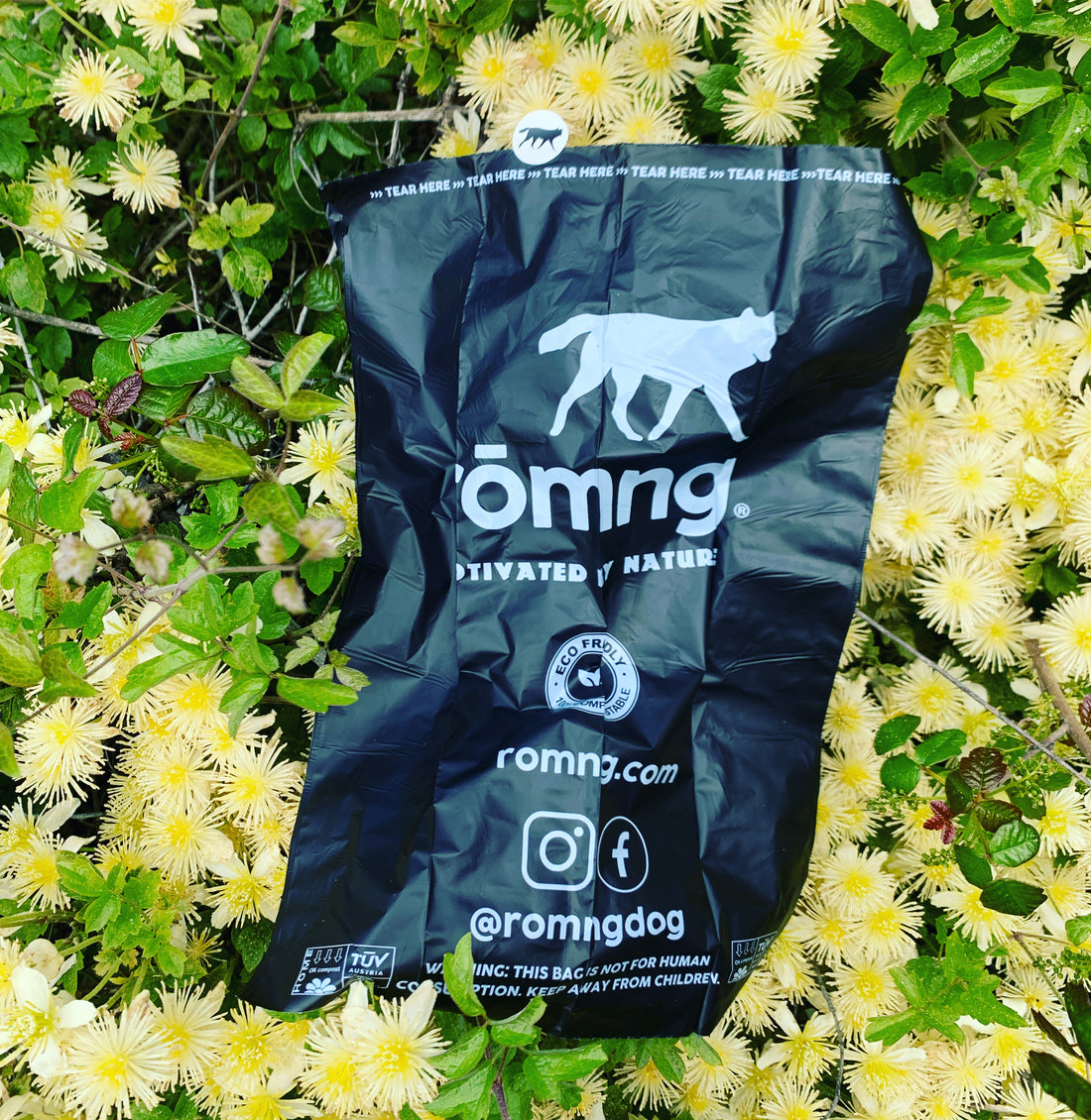 The difference between plastic and compostable bags - rōmng