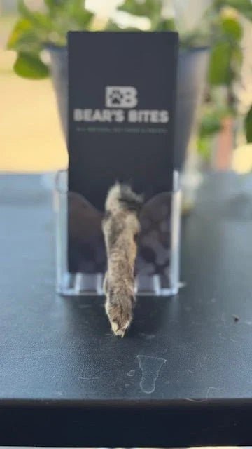 Rabbit foot dog chew