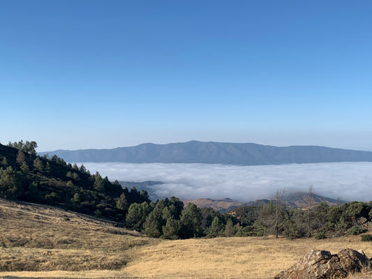 overnight camping in Los Padres Mt. Figueroa campground - rōmng