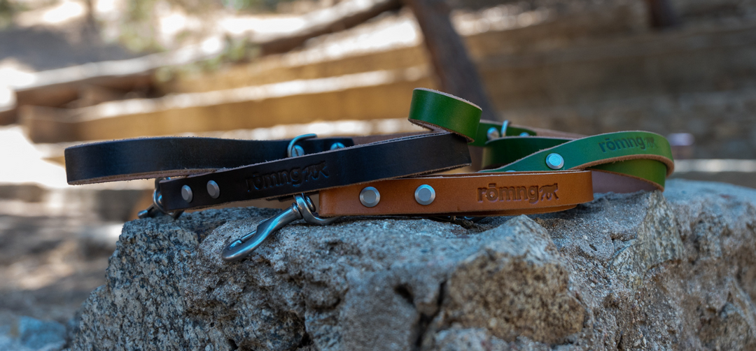 The Natural Elegance and Durability of Veg-Tan Leather Dog Leashes - rōmng