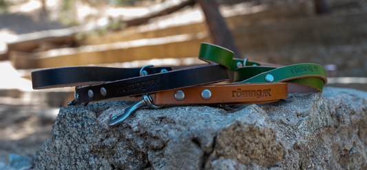 The Natural Elegance and Durability of Veg-Tan Leather Dog Leashes - rōmng