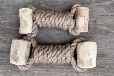 Why Natural Hemp Rope & Coffee Wood Dog Toys Outperform Petroleum-Based Ones