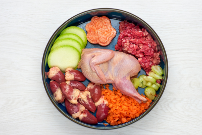 Strengthening Your Dog’s Immunity Through Gut Health with Primal Single-Ingredient Foods