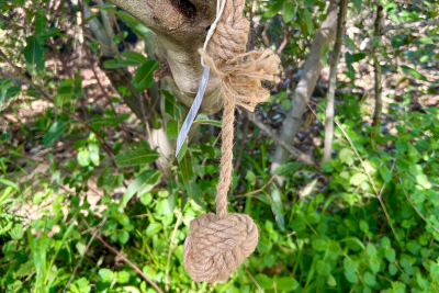 The Benefits of Using Hemp Rope Instead of Cotton or Nylon for Dog Toys