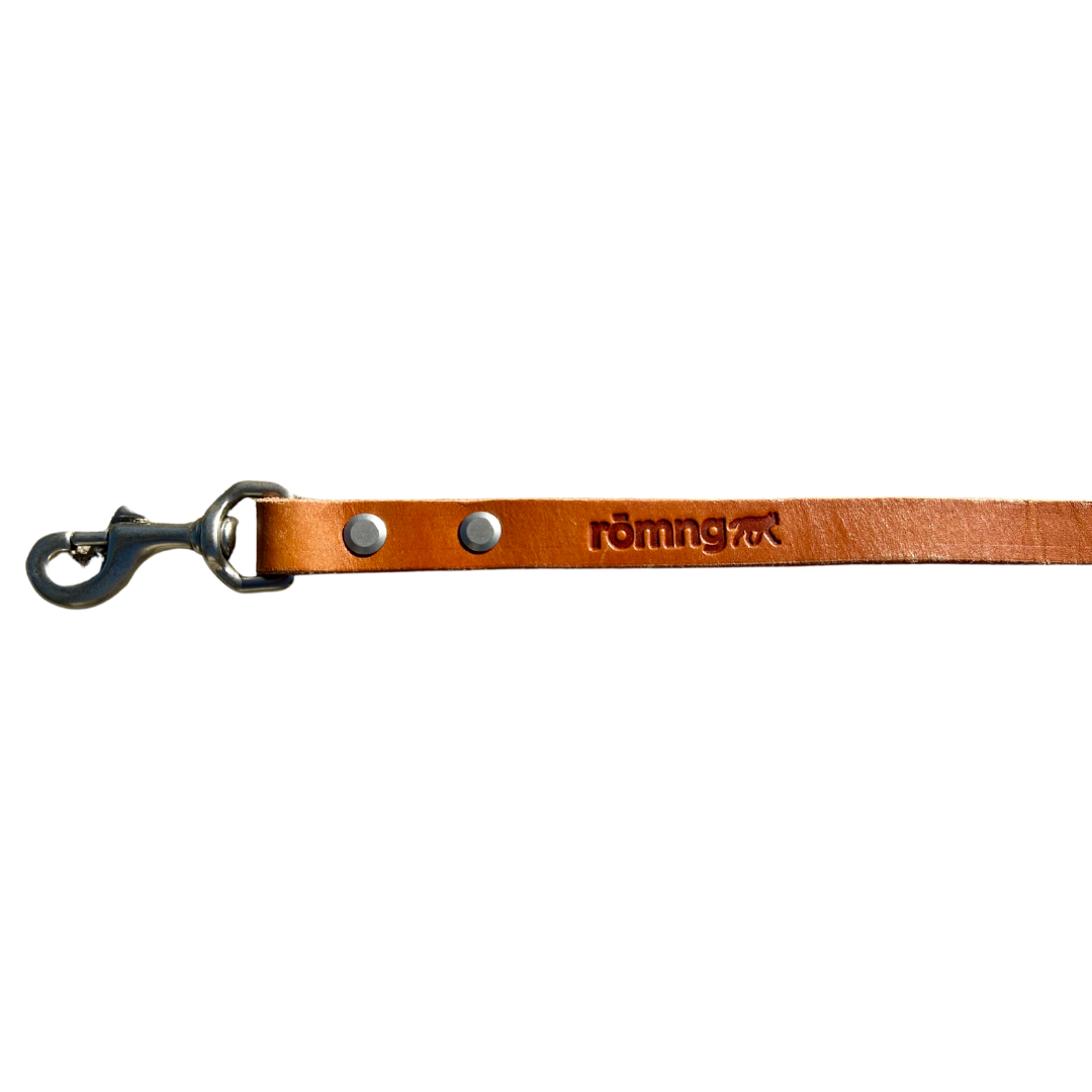 48" Genuine Leather Dog Leashes - Made in USA